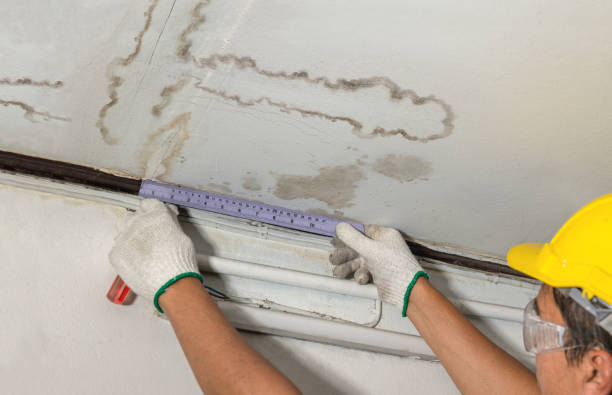 Reliable Burst Pipe Cleanup contractor in Pensacola, FL by Water Damage Irwin